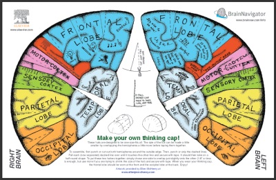 Printable Brain Cap Activity