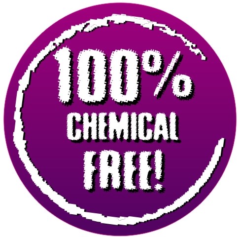 Dissection Connection 100% Chemical Free specimens