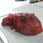 pig heart with unusual morphology
