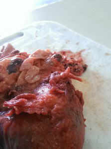 pig heart with unusual morphology