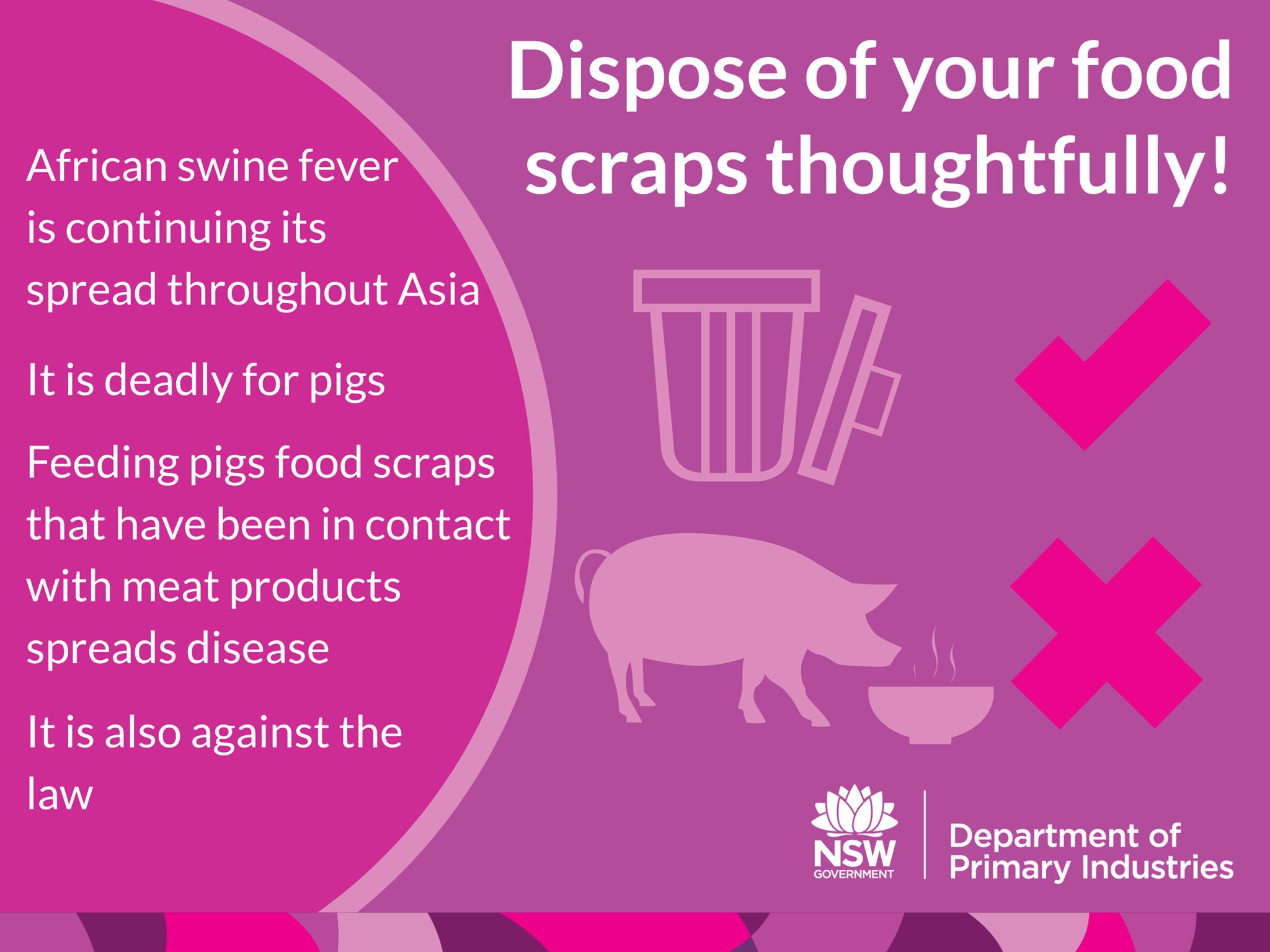 dangers of africa swine fever and how to prevent it biosecurity